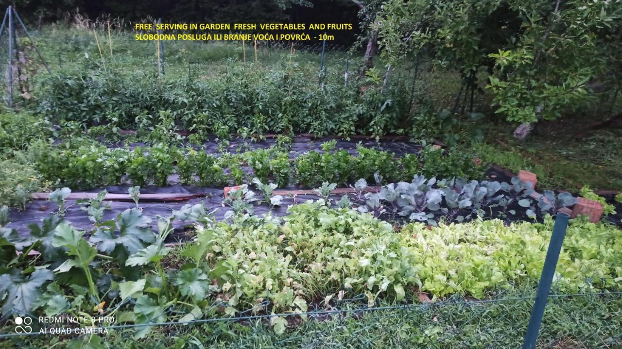 Green House Рийека Екстериор снимка