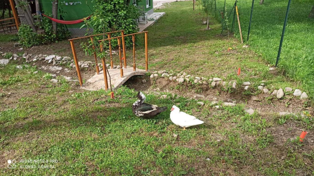 Green House Рийека Екстериор снимка