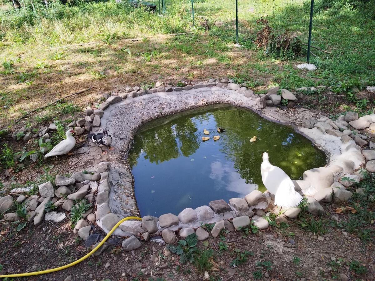 Green House Рийека Екстериор снимка